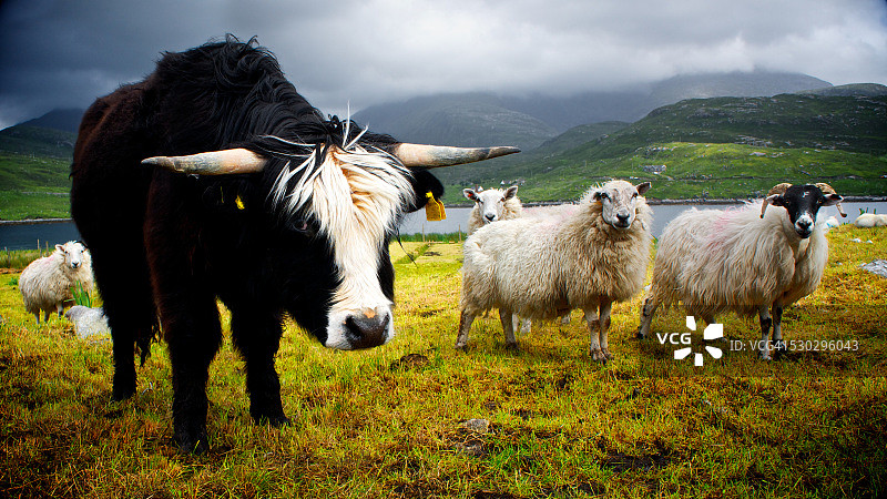 高地农业图片素材
