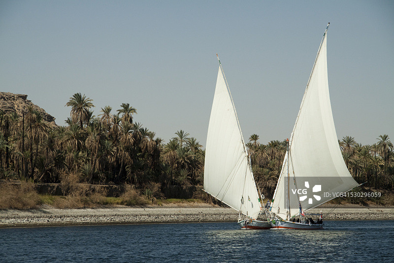 尼罗河上的三角帆船图片素材