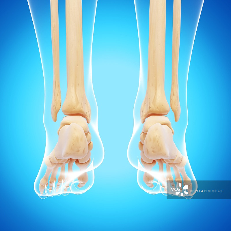 人体腿部骨骼电脑艺术作品图片素材