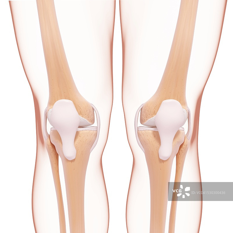 人体腿部骨骼电脑艺术作品图片素材