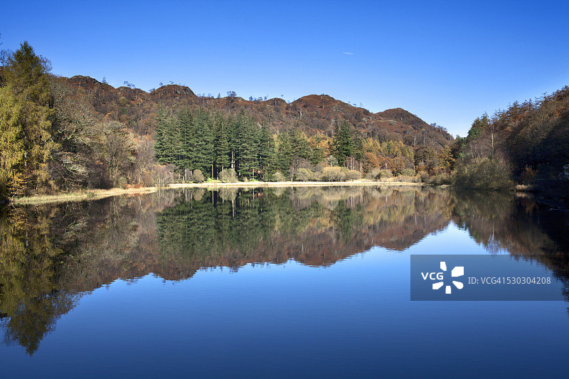 阳光明媚的秋日，英国坎布里亚郡湖区国家公园的红豆杉潭图片素材