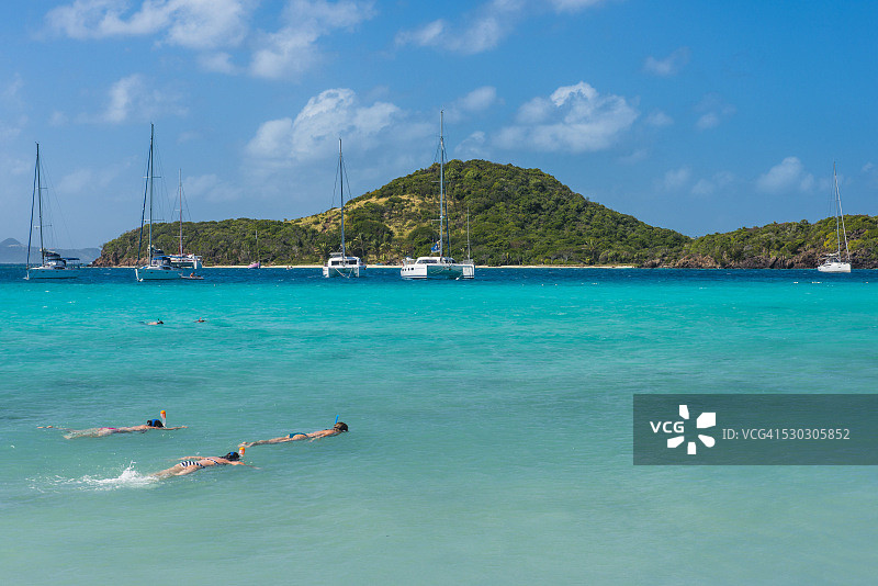 游客在托巴哥群岛绿松石般的海水中浮潜图片素材