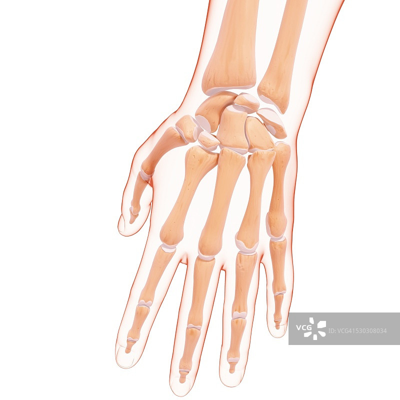 手部骨骼电脑艺术图图片素材