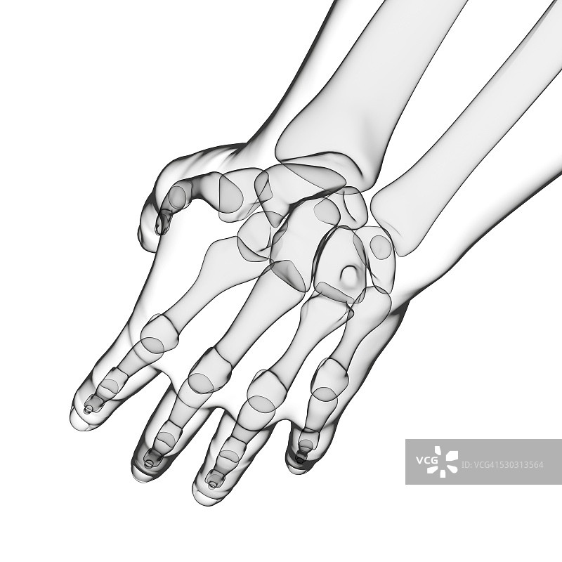 手部骨骼电脑艺术图图片素材