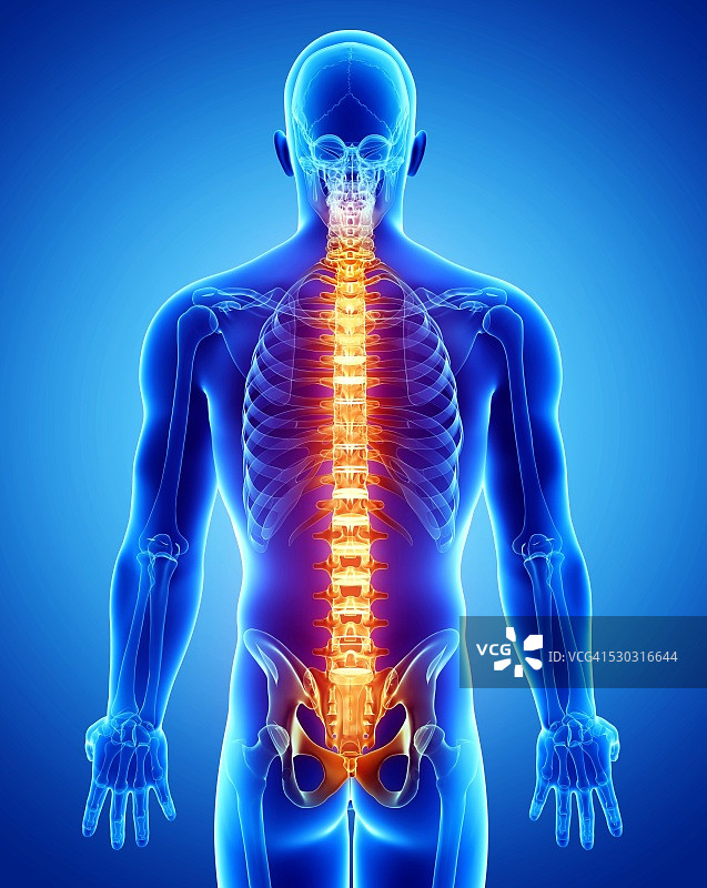 脊柱疼痛电脑艺术作品图片素材