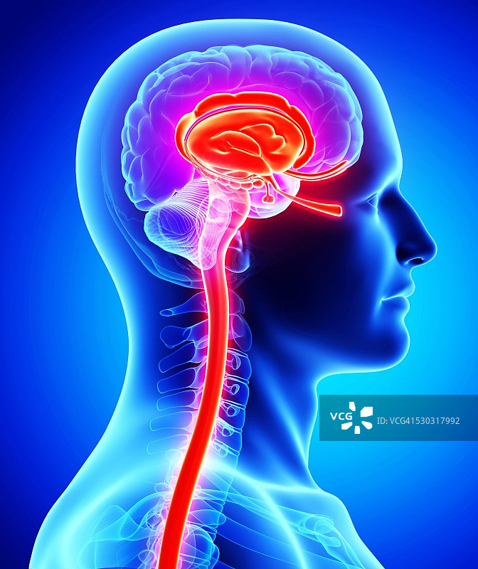 男性大脑计算机图图片素材