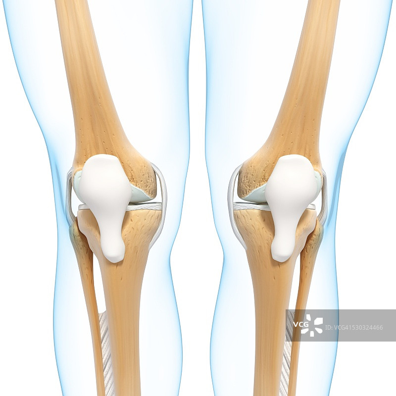 人体腿部骨骼电脑艺术作品图片素材