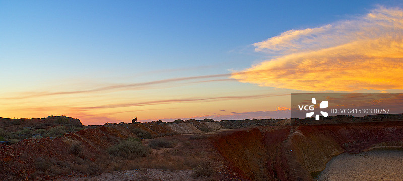 沙漠中的袋鼠剪影图片素材