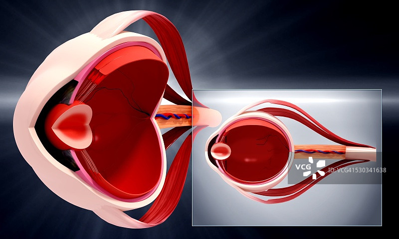 人眼解剖结构计算机艺术作品图片素材