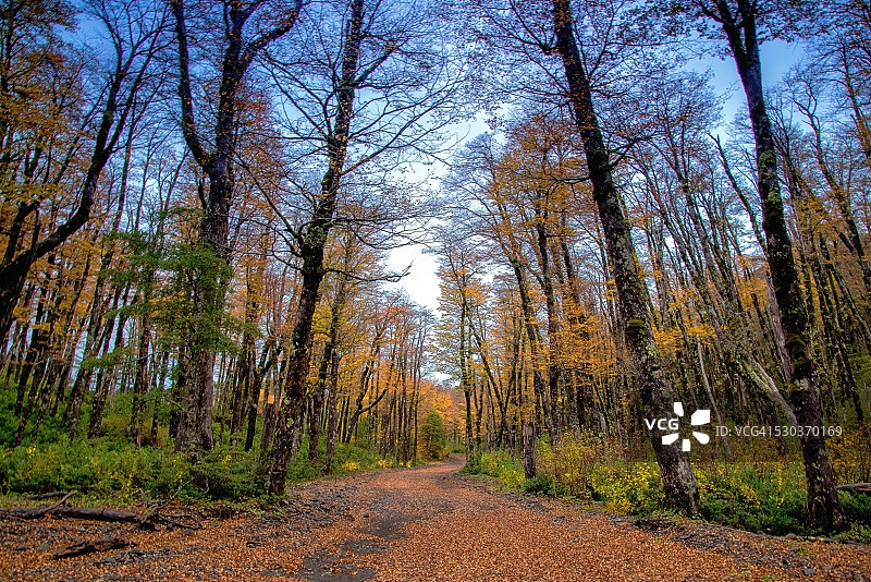 秋季视角图片素材