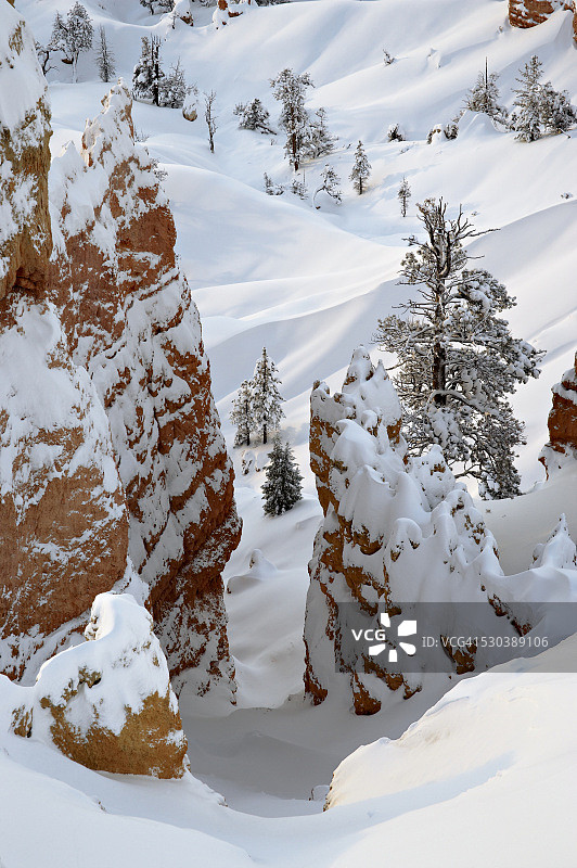 布莱斯峡谷国家公园雪中石柱图片素材