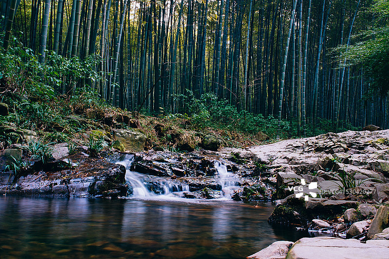 天目湖之南山竹海图片素材