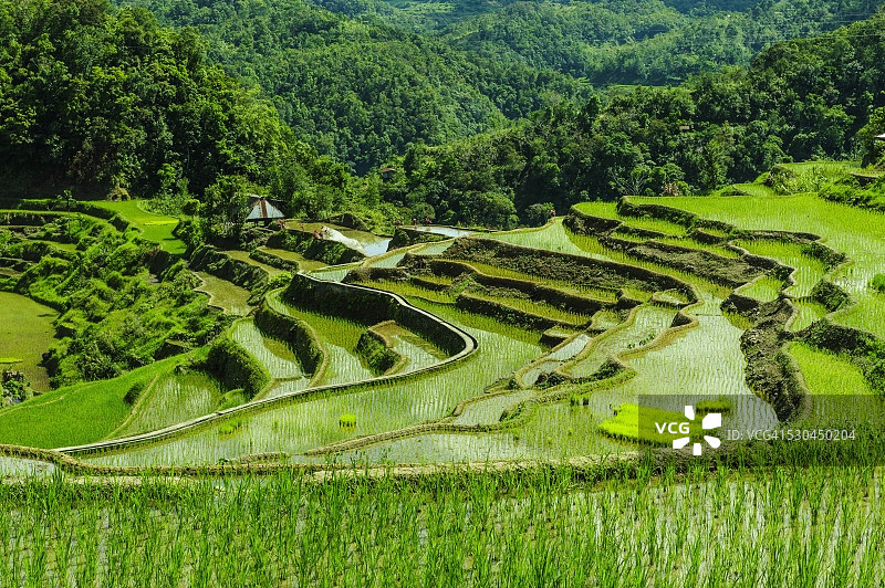菲律宾北部吕宋岛巴纳韦梯田：联合国教科文组织世界遗产图片素材