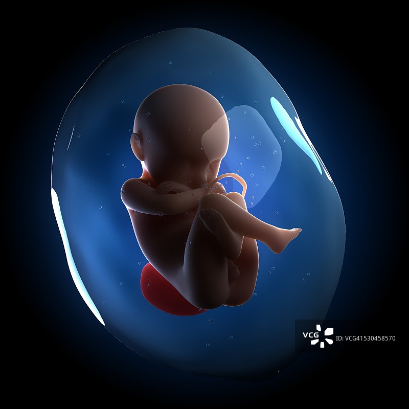 胎儿艺术作品图片素材