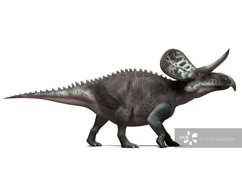 角龙类恐龙艺术作品图片素材
