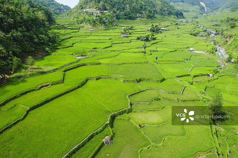 菲律宾吕宋岛八哈坡水稻梯田（联合国教科文组织世界遗产）图片素材