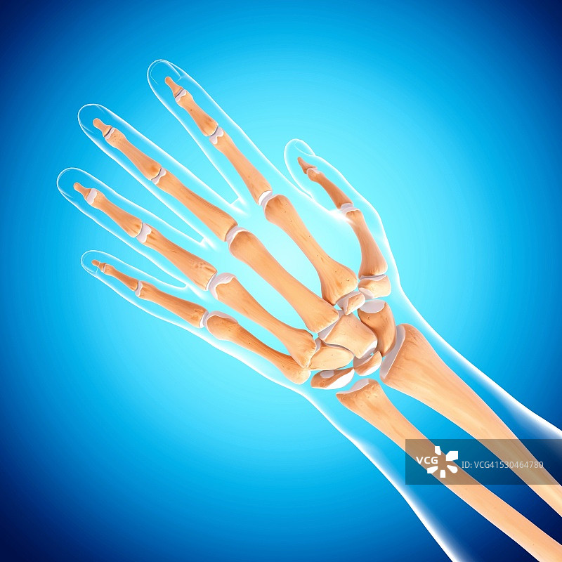 手部骨骼电脑艺术图图片素材