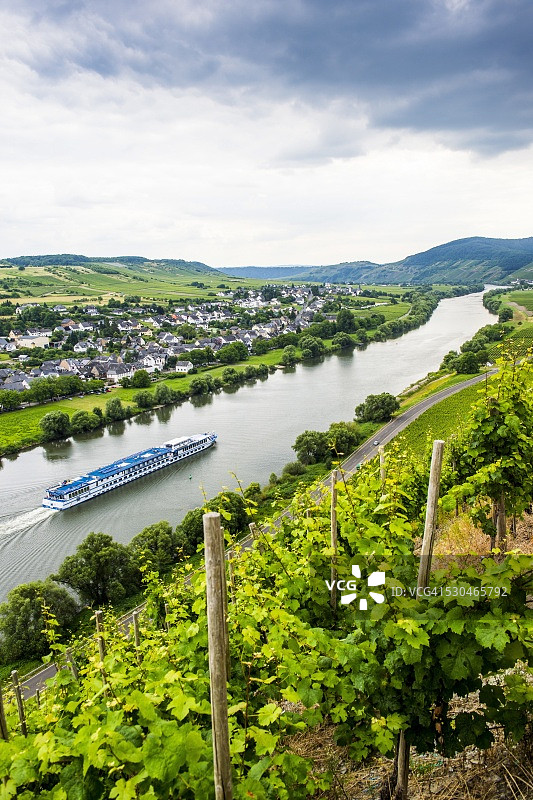 邮轮经过德国莱茵兰-普法尔茨摩泽尔河谷米尔海姆的葡萄园图片素材