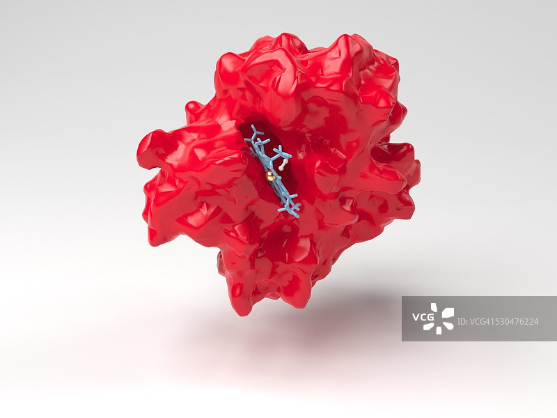 血红蛋白分子图片素材