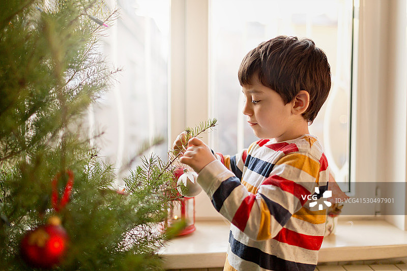 男孩装饰圣诞树图片素材