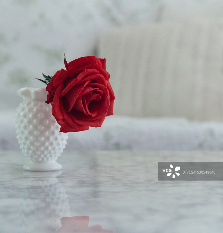 客厅白色大理石咖啡桌上奶玻璃花瓶中的单支红玫瑰图片素材
