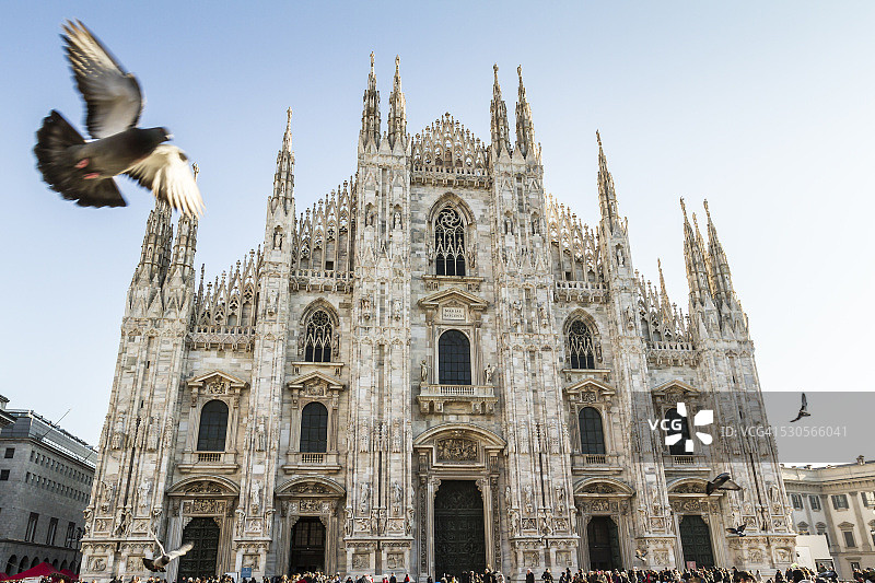 米兰主教座堂与鸽子图片素材