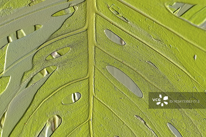 叶子纹理特写图片素材