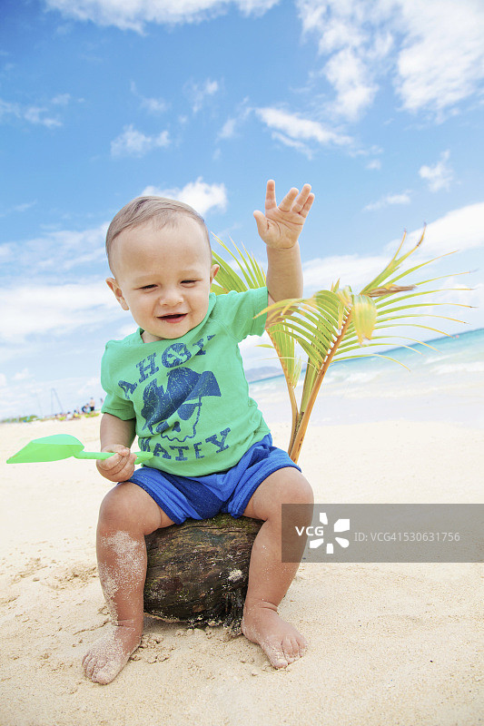 夏威夷海滩椰子树上的男婴图片素材