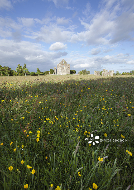 爱尔兰毛茛草甸与修道院傍晚光影图片素材