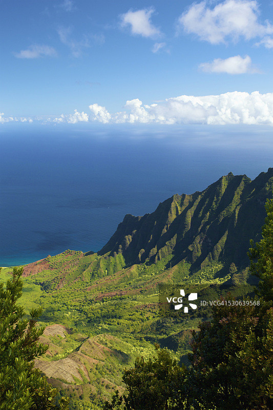 美国夏威夷考艾岛：纳帕利海岸的卡拉劳山谷和瞭望台图片素材