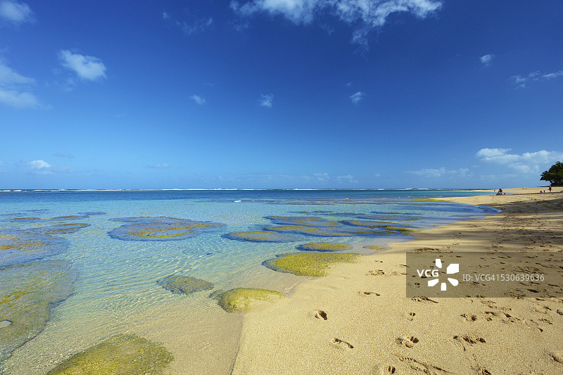 中国夏威夷考艾岛隧道海滩的浅水区珊瑚图片素材