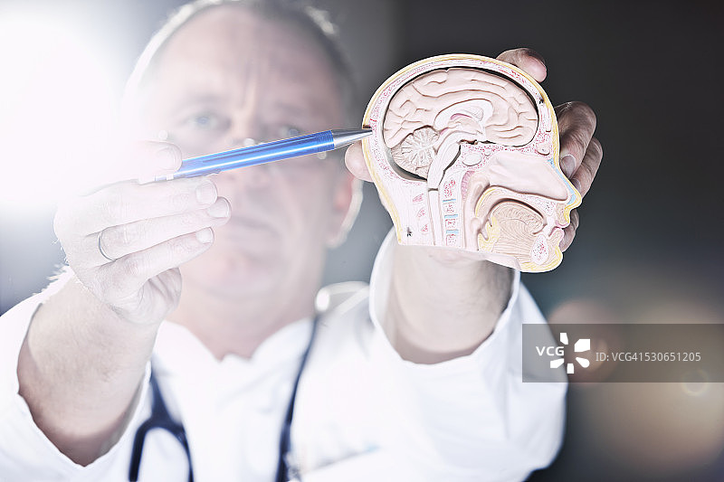 医生指向头骨图片素材