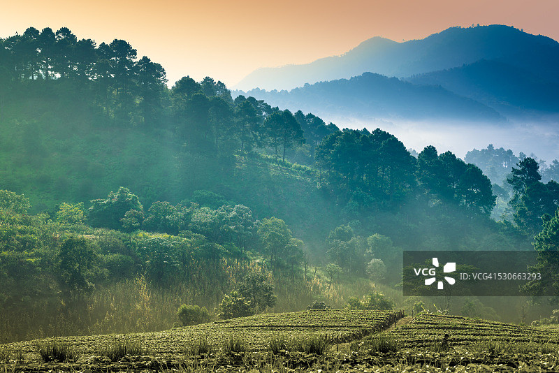 美丽的阳光在薄雾清晨的山脉。图片素材