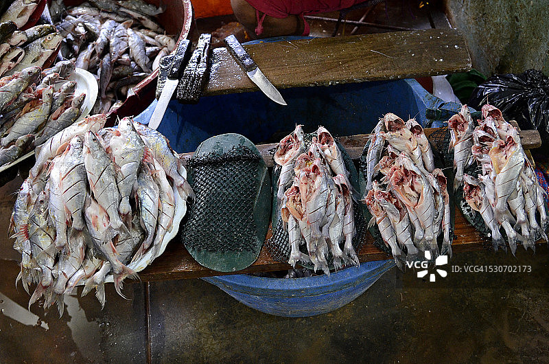 鱼市场图片素材