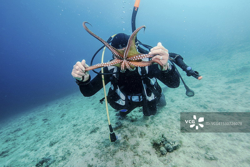 潜水员与亚得里亚海海洋生物图片素材