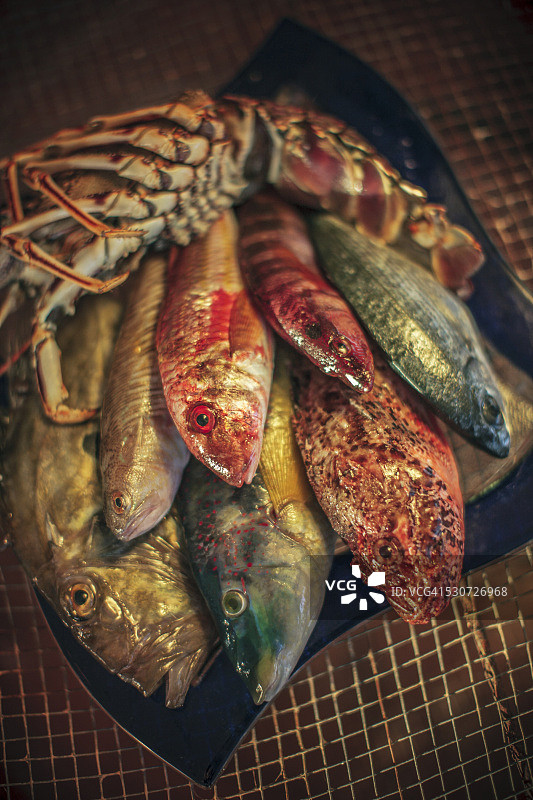 各种新鲜鱼类图片素材