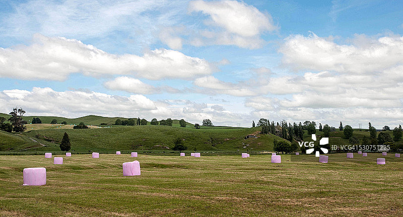 粉色氛围图片素材