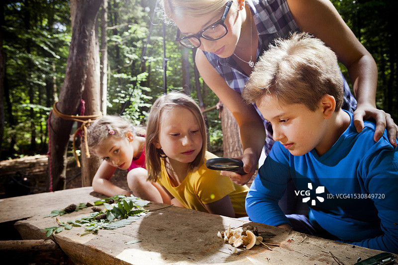 孩子们在森林营地学习（德国慕尼黑巴伐利亚）图片素材