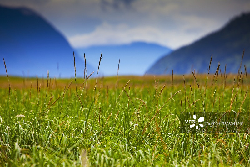 美国阿拉斯加州斯卡圭的戴伊潮滩草地与奇尔卡特山脉图片素材