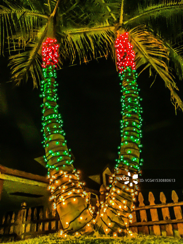 夏天的圣诞节图片素材