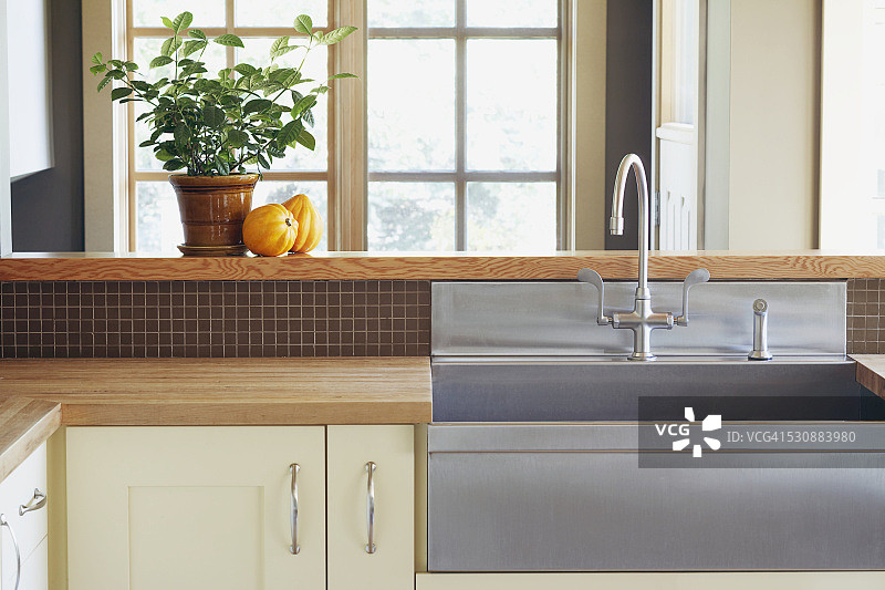 水槽旁的葫芦和植物图片素材