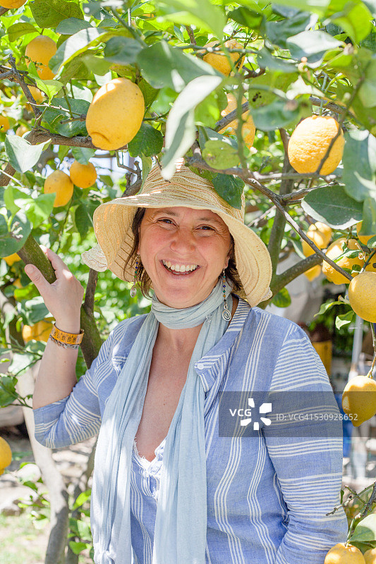 在柠檬树丛中的美丽的微笑女人图片素材
