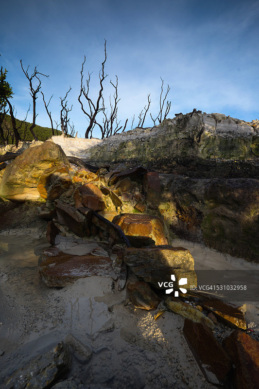 加鲁特西爪哇帕潘达扬火山的枯萎森林图片素材