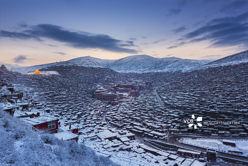 油封鸭图片素材