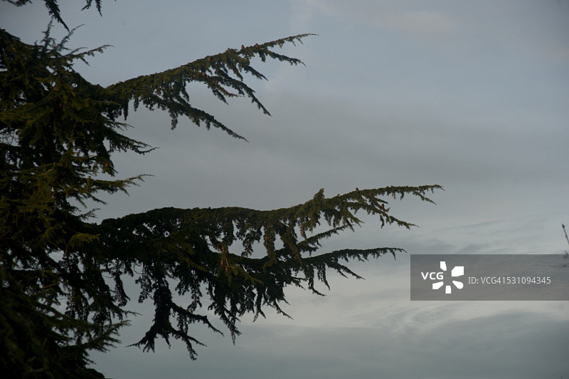 近距离图片素材