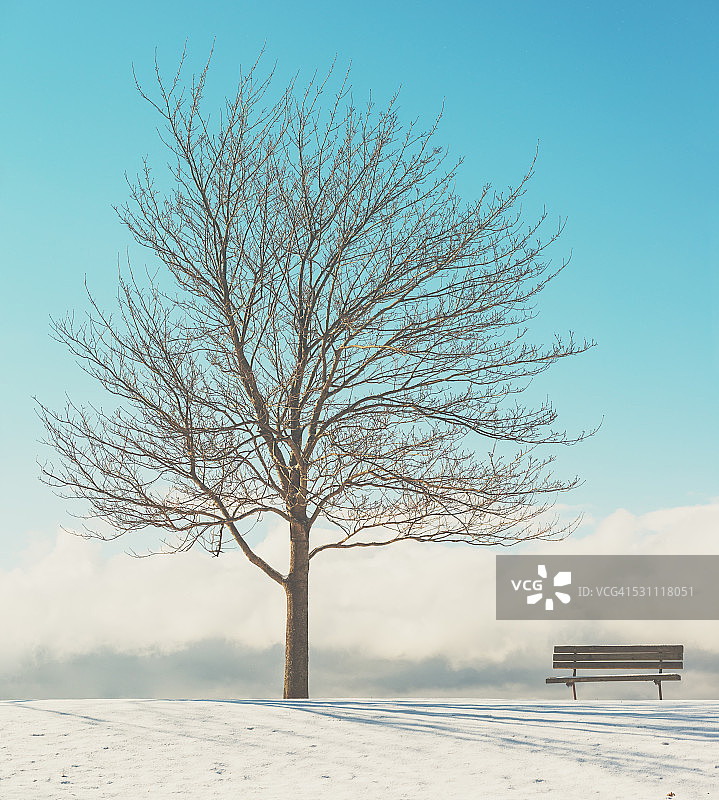 一月阳光图片素材