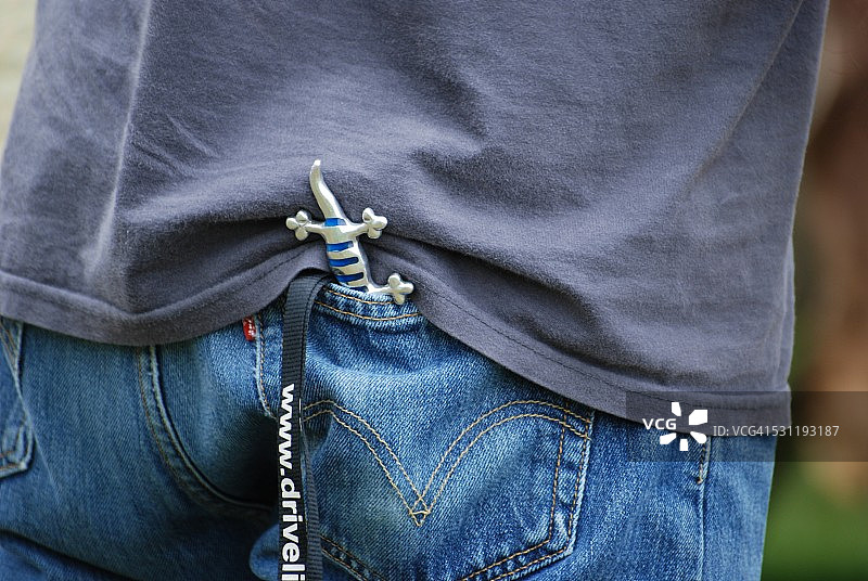 袖珍蜥蜴图片素材