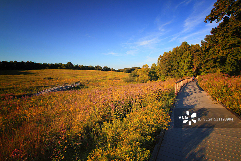 宾夕法尼亚州兰开斯特的美丽田野图片素材