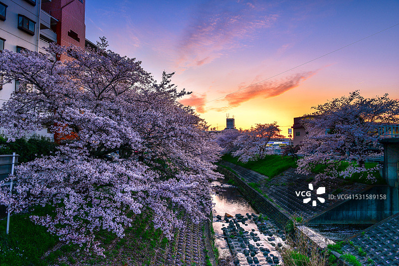 美丽日落图片素材