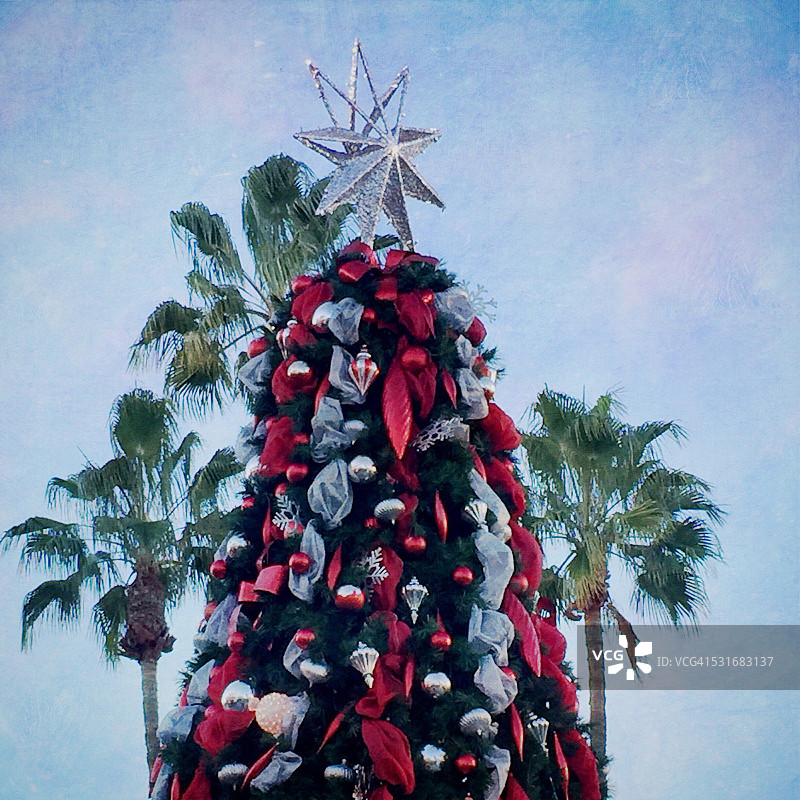 夏天的圣诞节图片素材